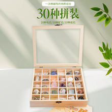 地球秘史天然奇石套装紫水晶化石矿石石头摆件青金石蜜蜡原石岩石