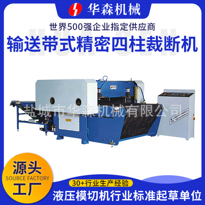 Watson Manufactor supply Delivery Belt Precise Cutting Machine automobile Interior trim Blanking machine fully automatic Cutting Machine