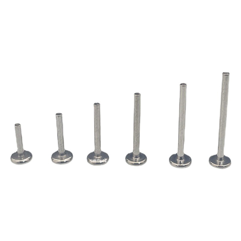 Smtnek astm F-136インプラントグレードチタン合金内歯リップスティックピアスロッドアクセサリーアクセサリー