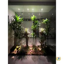 ?LEDֲa҃ȫV̫ꖹչLͲ