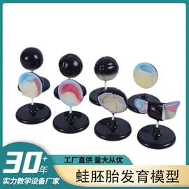教学演示用品;教学仪器;生物教学器材