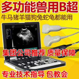 �F��B���C�i��B������B��ţ��B��Ȯ؈����y�Ѓx�������Йz����