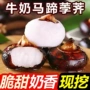 广西新鲜小果地栗荸荠