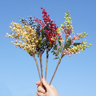 ���滨 ���˶� С��֦8�^�ָ��~���˶���֦ �ٻ��Ҿӻ�ˇ�b�c