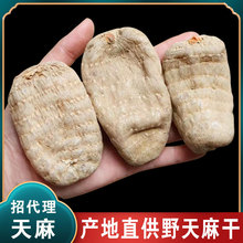 小草坝可切片磨粉天麻无熏硫中药材干货云南昭通新鲜红天麻干批发