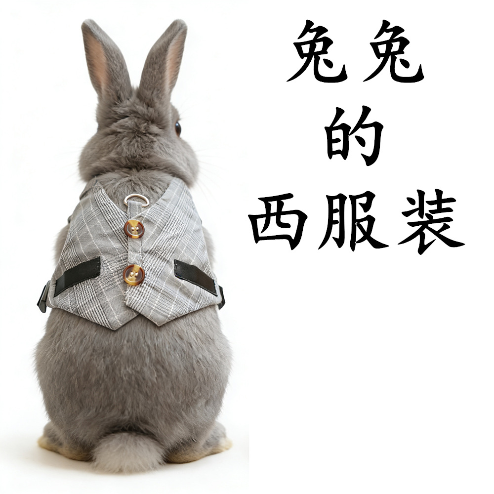 토끼 견인 밧줄 토끼 토끼 토끼 신사의 원피스 토끼 세트 고양이 밧줄 걷는 밧줄 강아지 원피스