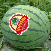 �����]�������������ϳ���Ƥ���ϑ����o�����ѬFժ�������rˮ��