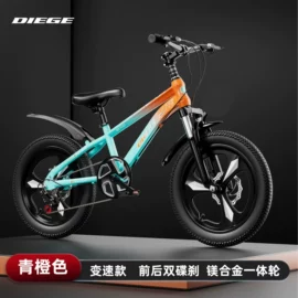 山地自行车;自行车