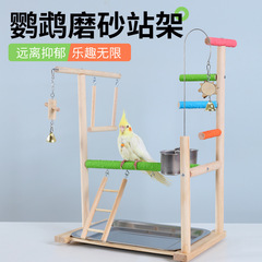 虎皮牡丹玄鳳オウム駅の足のチェーンは梯子に登ります。