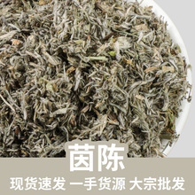 茵陈 绵茵陈棉茵陈2025年新货现货实体店经营批发代发