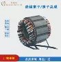定制打样定子叠片绕组