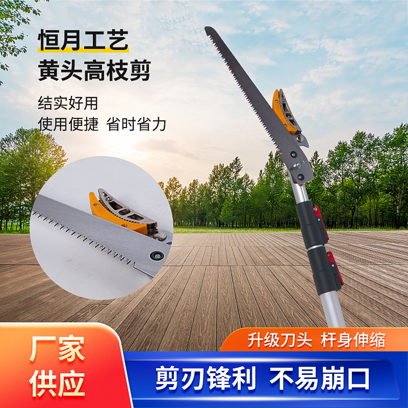 Longyan Apple Fruit picking squears Litchi Fruit picking Device wholesale Tijeras retráctiles de rama alta fruta tijeras aéreas tijeras de podar