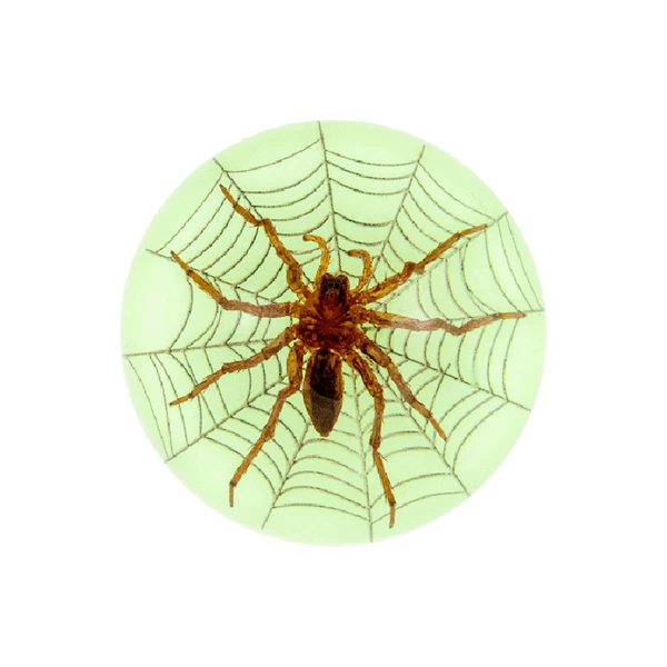 6.4cm semicircular luminous spider with web