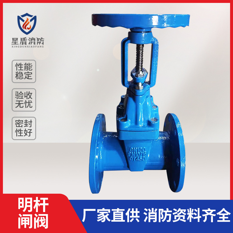 球墨铸铁Z41X-16Q法兰软密封明杆闸阀DN100自来水弹性座封闸阀