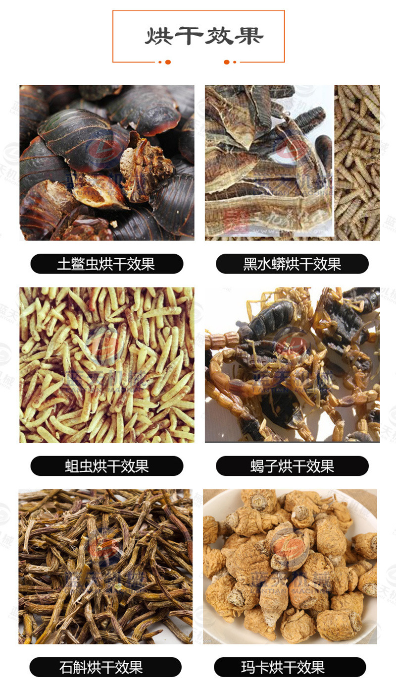 未标题-1_01.jpg
