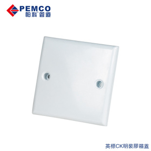 Hong Kong Surface-Mounted Base Box Panel Pvc British Standard Macau Plastic Double Ck Open Cover Flame-Retardant Plastic Box Protective Cover