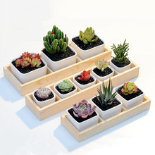 Ȥ��@ˇ�M�����������ײ�����С���Զ���״�ľ�л���