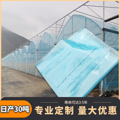 po crystal Polyethylene heat preservation Plastic transparent longevity strawberry customized Wu Dimo pe greenhouse Agriculture Big films