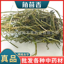 角茴香中药材山黄连批发中药材角茴香大货草药角茴香
