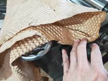 ͺXĤĤƴC ţƤͺϚĤƴC 