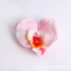 Film Phalaenopsis Small-Light Pink