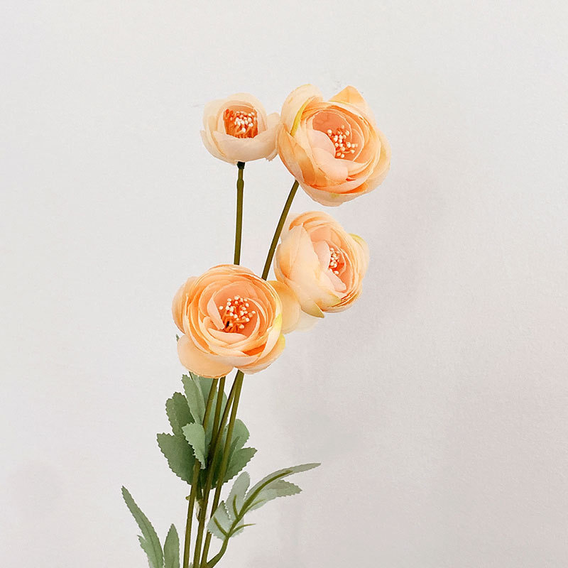 4 헤드 티 로즈-샴페인