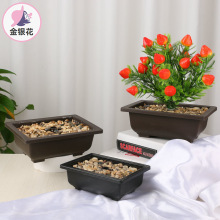 �L����������ɰ���⻨�莧�бP�҃��̨�Gֲ��������