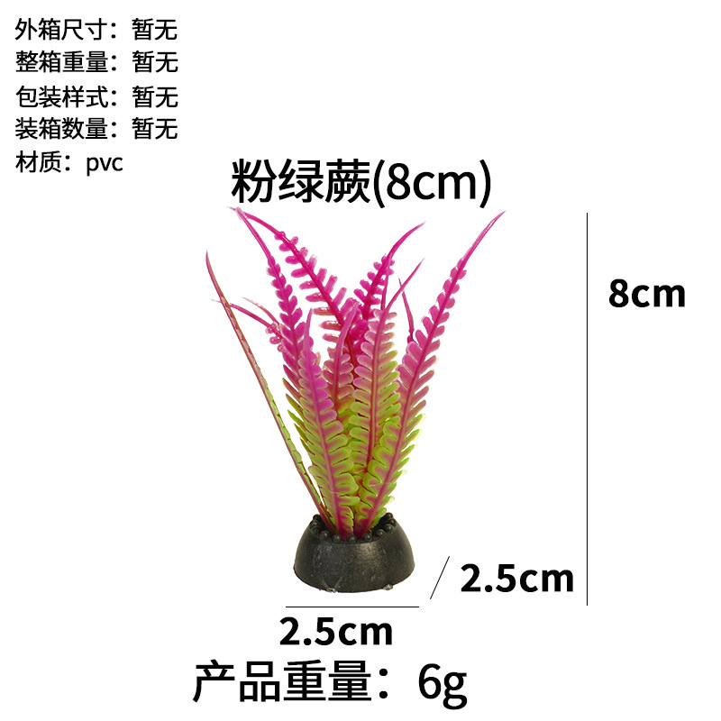 Helecho verde rosa (8cm)