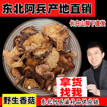 【吉林产地】东北长白山500g新野生香菇干花菇香菇干批发