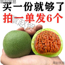 核桃文玩赌青皮闷尖四座楼白狮子虎头满天星苹果园官帽麒麟纹官帽