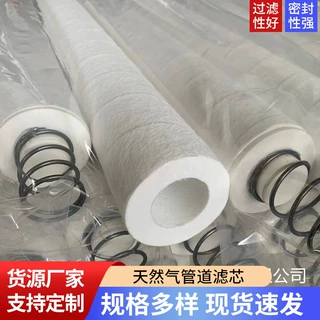 石油天然气管道滤芯 PECH氢化合物过滤芯除尘除水精过滤芯