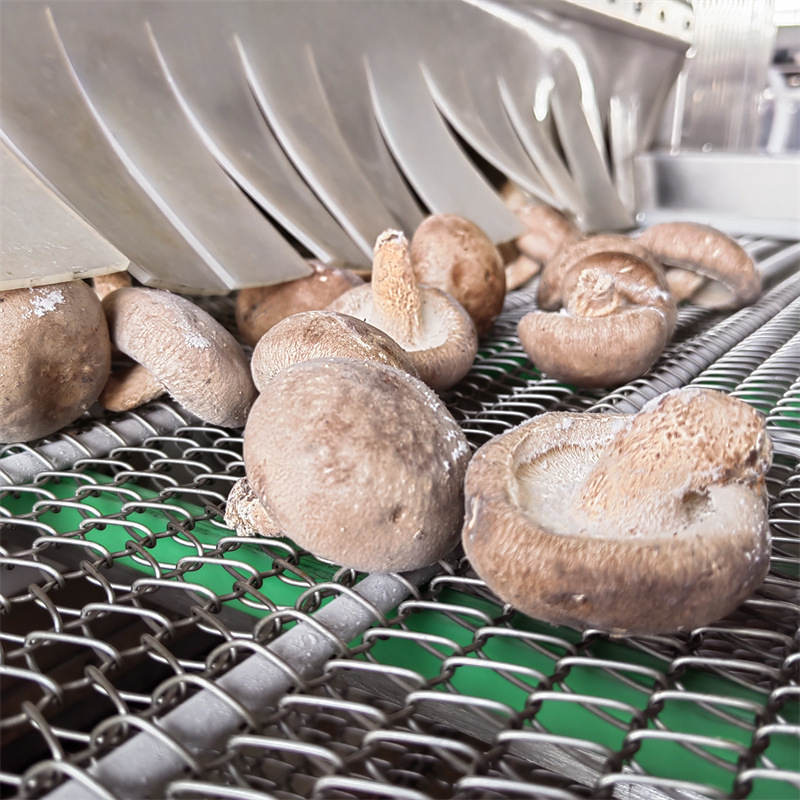 豆沙包速冻设备 灌汤包速冻机 香菇速冻流水线厂家 水饺面食速冻