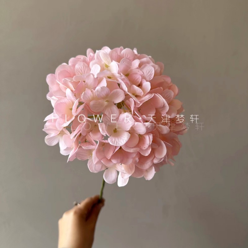 순 핑크