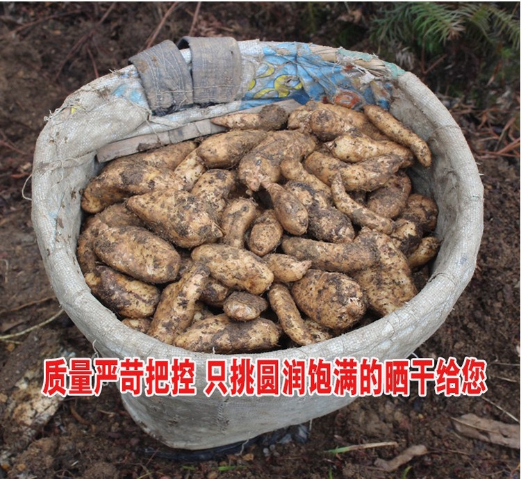 Tibetan Gastrodia Root Grade A Large Boxed 200g Dried Tian Ma for Herbal Decoction quality and texture