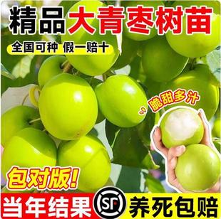 ��������̨�������ţ�̗��۽z���޽�����������箔��Y������