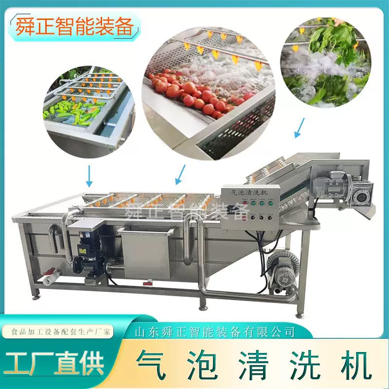 气泡清洗机 大型蔬菜水果高压喷淋清洗线 全自动净菜加工设备