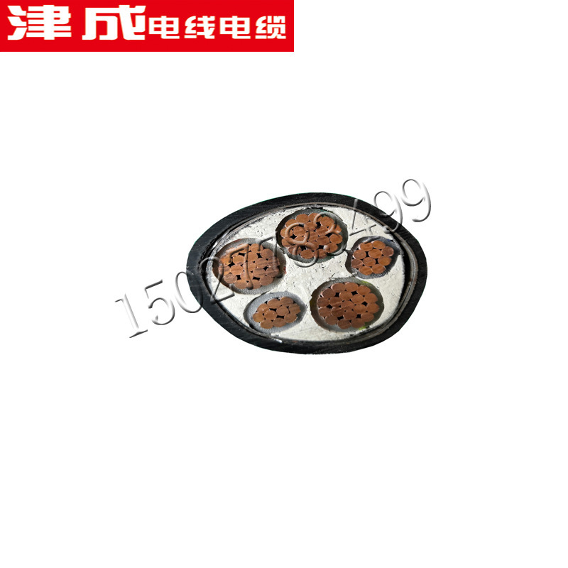 低压变频电缆天津津成BPYJVP12R电力电缆BPYJVP2R铜芯软电缆