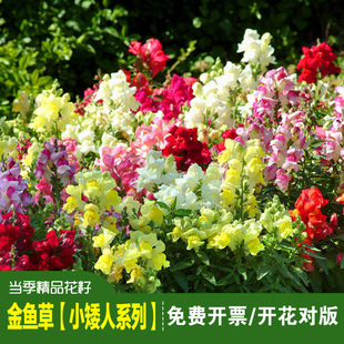 ��Ʒ���~�ݷN�����^���{�ӻ����ڻ����ȸ�������л������̨����