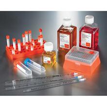 ���� 2mlϸ�����������ʽ ������ɫ�ǿ̶��䶳�� ���������
