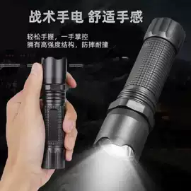 自行车灯;自行车装饰;野营/露营灯