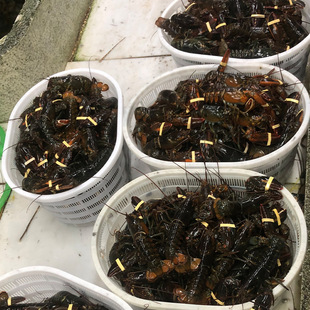 �ʿ�D���r����r����r�r����r���ͺ��rˮ�a���lһ��؛Դ