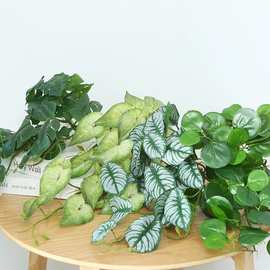 仿真植物墙面装饰造景绿植仿真植物合果芋壁挂植物龟背叶布景材料