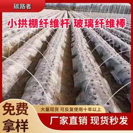 玻璃纤维杆厂家直供架子杆无碱纤维管支撑蔬菜拱棚杆支撑杆玻璃钢