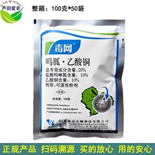 100�� ���W20%���������~��������ͪ �rș�������t��������������