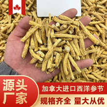 进口加拿大西洋参节正宗花旗参多规格产地货源批发量大价优