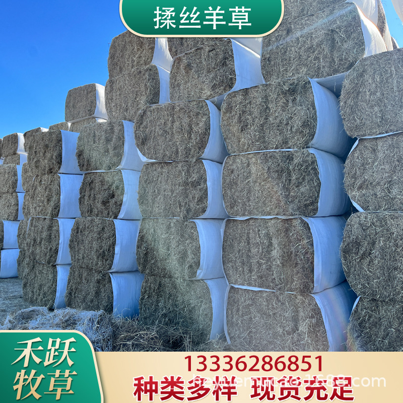 2025新揉丝大捆羊草碱草 牛羊马养殖场饲草饲料动物园牧草