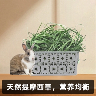 兔子牧草主粮