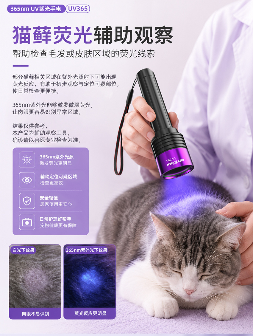 New UV purple light flashlight for identification and detection, high-power 365nm ultraviolet light for pet identification and money detection