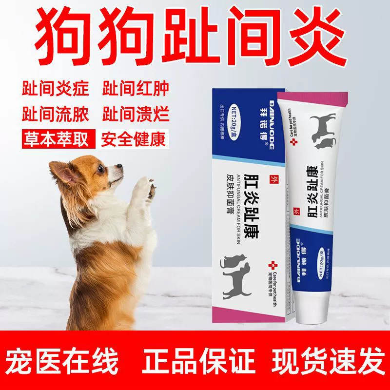Инфляция межпальцевых участков у собак, воспаление пальцев ног, воспаление кончиков пальцев, грибковая инфекция, гнилостное покраснение, отек и гнойные язвы на пальцах ног, специальная наружная антибактериальная и противозудная лекарственная среда.