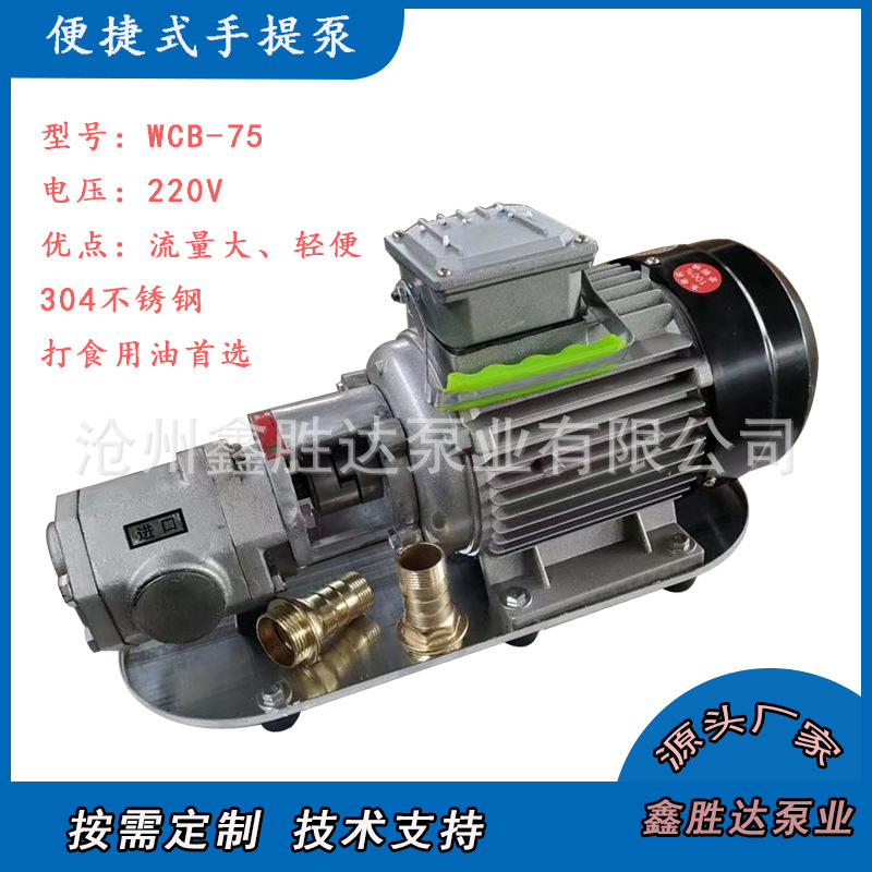 WCB-75/50/30手提式不锈钢齿轮泵厂家220v便捷式手提油泵